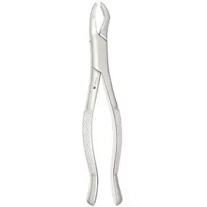 J&J Extracting Forceps #53R, Right