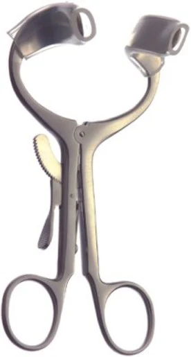 Molt Adult Mouth Gag