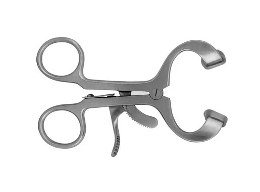 Molt Mouth Gag Silicon Replacement Tips