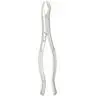 J&J Extracting Forceps #53R, Right