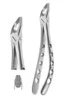 X-TRAC Upper Universal Tapered Extracting Forceps