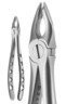 X-TRAC Upper Anterior Notched Extracting Forceps