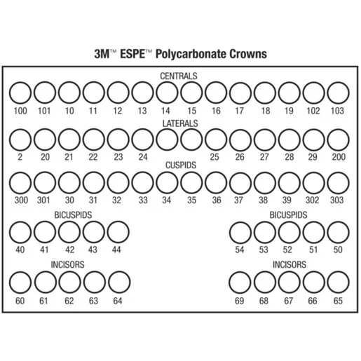 3M Polycarbonate Crowns