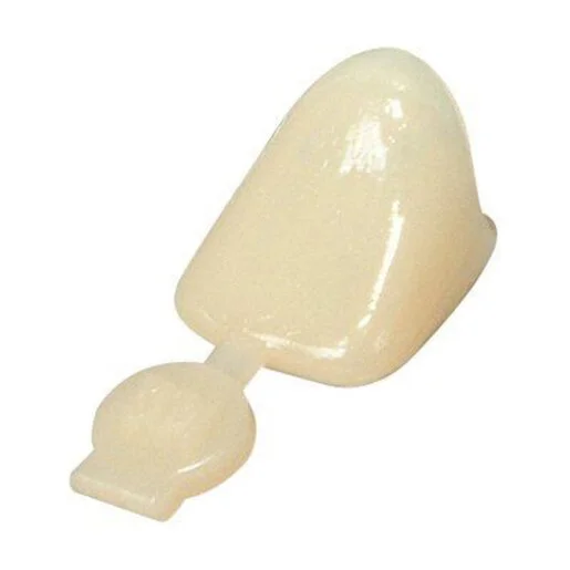 3M Polycarbonate Crowns