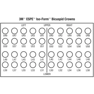 3M Iso-Form Temporary Bicuspid Crowns