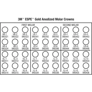 3M Gold Anodized Temporary Molar Crowns