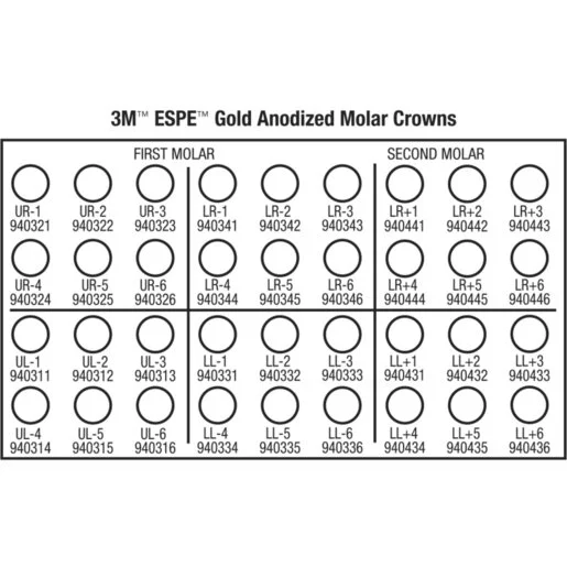 3M Gold Anodized Temporary Molar Crowns