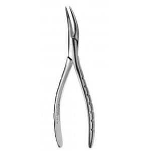 300 Root Forceps