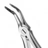 46L European Style Root Forceps