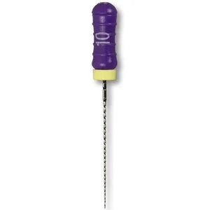 Maillefer ReadySteel SS C+ File Maillefer ReadySteel SS C+ File