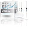 Pola Day CP Whitening System Syringe Bulk Kit