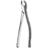 151A Cryer Forceps, Lower