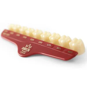 Polycarbonate Crowns - Henry Schein Dental Polycarbonate Crowns - Henry Schein Dental
