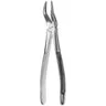 51 European Style Root Forceps, Serrated