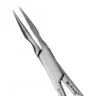 Straight Steiglitz Post and Point Removal Forceps
