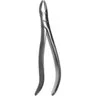 76S European Style Upper Root Forceps, Serrated