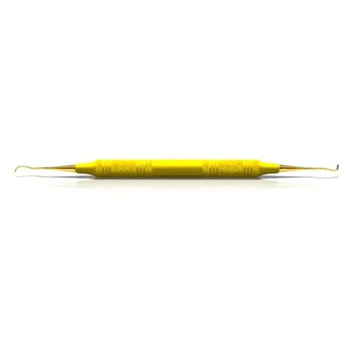 204SD XP Scaler