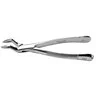 32A Extracting Forceps