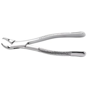 23 Cow Horn Extracting Forceps