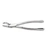 53R Extracting Forceps