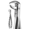 X-TRAC Lower Molar Extracting Forceps