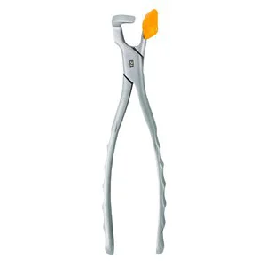 Physics Forceps - Molar Series Instrument Physics Forceps - Molar Series Instrument
