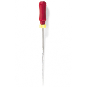 Maillefer Stainless Steel K-Files 21 mm