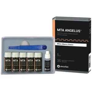 MTA Bioceramic Reparative Cement Bulk Package MTA Bioceramic Reparative Cement Bulk Package