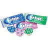Orbit Prophy Paste & Gum Pack